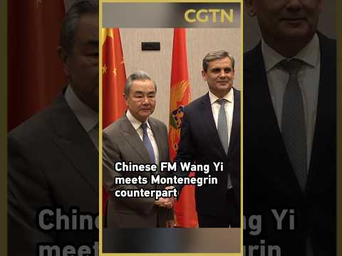 Chinese FM Wang Yi meets Montenegrin counterpart