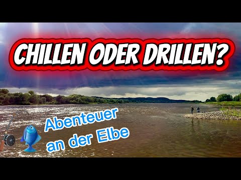 Elbe: Angeln auf Zander & Hecht + Gewinnspiel🐟🎁!