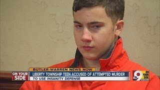 Leberty Township teen accused of attempted murder