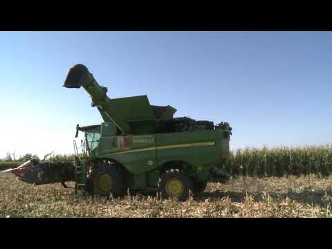 John Deere S780i-Dominoni 10 file Fendt-Mifema-John Deere Vaia pastone di mais