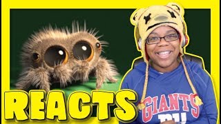 Lucas The Spider Encore | Animation Reaction