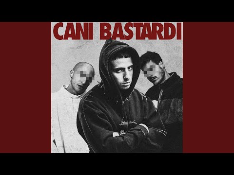 download lagu mp3 mp4 Cani Bastardi, download lagu Cani Bastardi gratis, unduh video klip Download Cani Bastardi Mp3 dan Mp4 Popular Gratis
