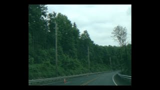 enter the forest, forget life Music Video