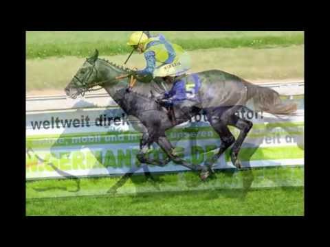 4.Renntag 80.Gerling-Preis in Köln-Weidenpesch