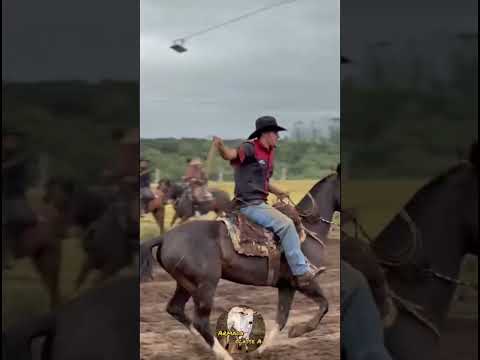 (Estância Lageado )rio negro Paraná 2026