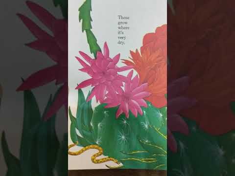 The Reason for a Flower by Ruth Heller