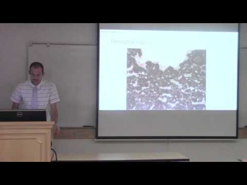 Post-PT Extinction Microbial Reefs in Lower Triassic SW Utah