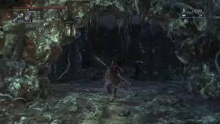 獣を狩....れ......