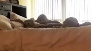 Teairra mari leaked her on shit