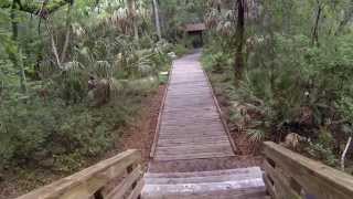 preview picture of video 'Hillsborough State Park campground, Florida'