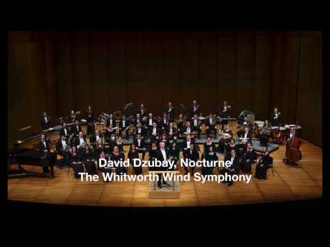 David Dzubay, "Nocturne"