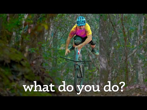 So you're about to crash your MTB—Now what?