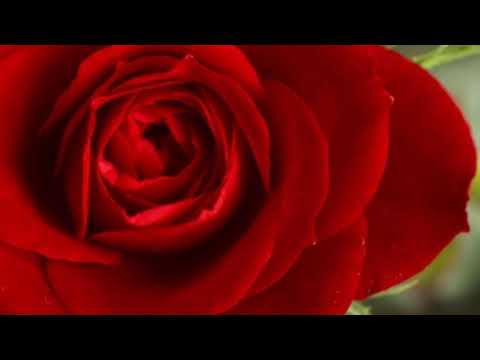 Rang je aa bhoori by Samina kanwal