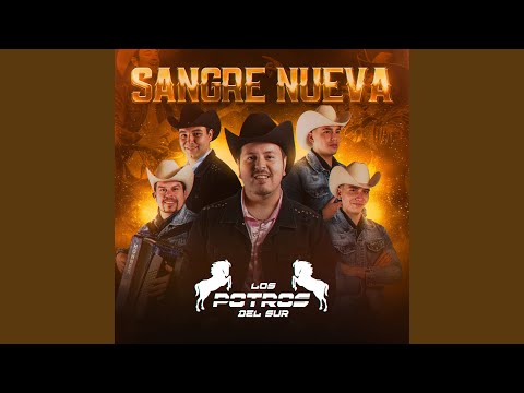 No Estoy Perdiendo Nada