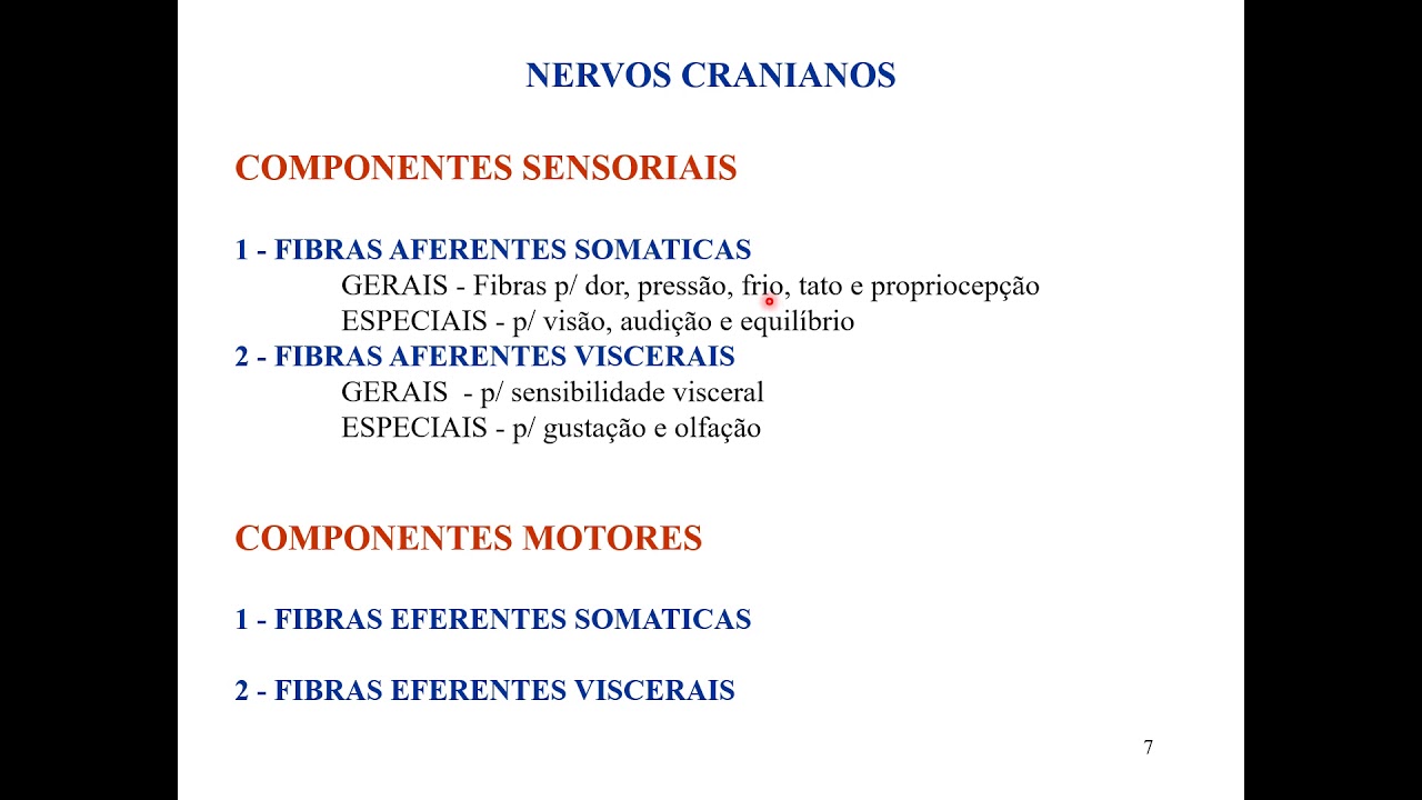 [Fisiologia Veterinária I] Introdução ao sistema nervoso - 6. Nervos cranianos