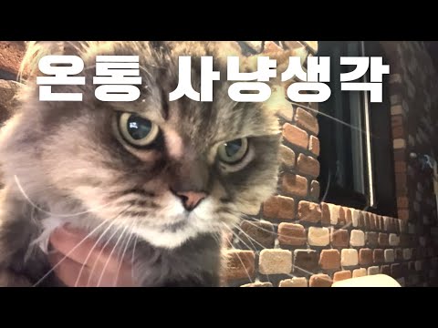 조류 경계대상 1호 뭉치