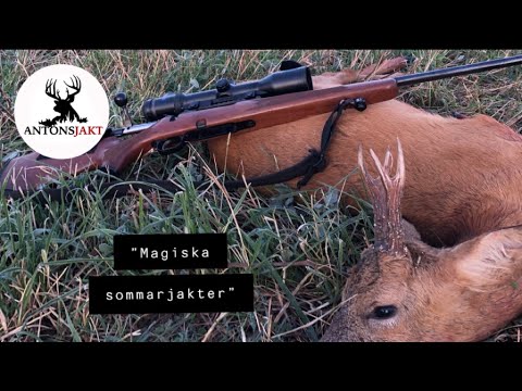 Magiska sommarjakter | Antonsjakt