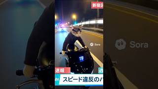 猫さん。速度超過で警察に捕まる【AIニュース】