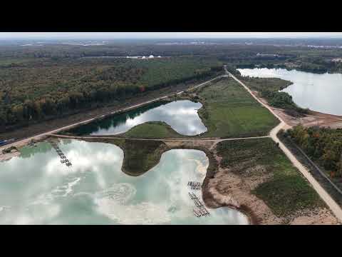 15.10.25 gefilmt über dem rodungsbedrohten Langeler Bannwald bei Frankfurt