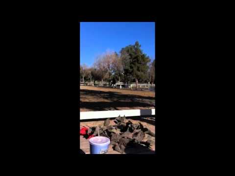 2012-01-06 Austen_David_lesson