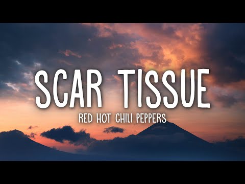 Red Hot Chili Peppers - Scar Tissue (Lyrics)