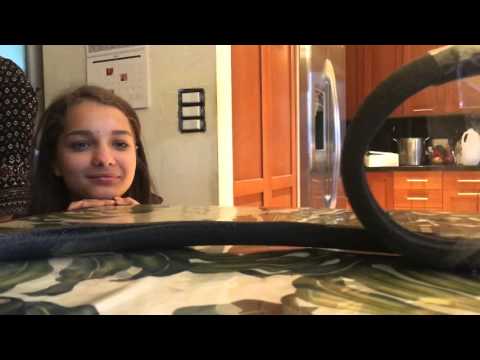 PDHS physics rollercoaster period 2