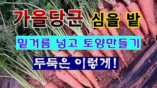 [텃밭농부 2,025]  가을당근을 파종 할 밭에 토양만들기와 두둑 만들기. #당근재배 #가을당근