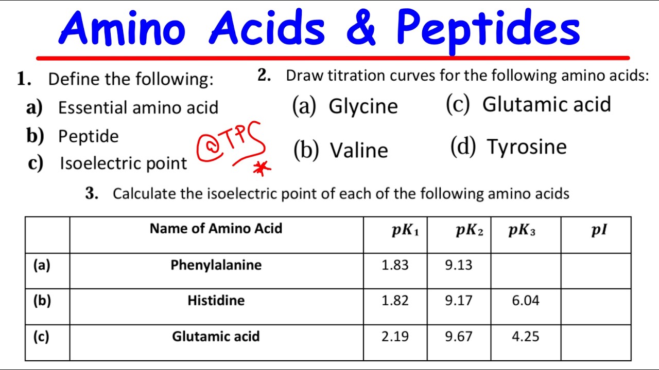 AMINO ACIDS & PEPTIDES - STEP BY STEP TUTORIAL SHEET SOLUTIONS