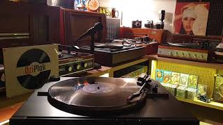 Sezen Aksu İçime Sinmiyor - Plak Kayıt - OziPlak