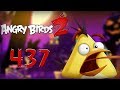 Angry Birds 2 Rovio PIG CITY HAM FRANCISCO 437 HARD LEVEL Walkthrough