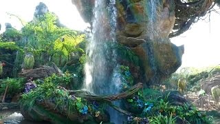 First look at Disney World's Pandora -- The World of Avatar | ABC News