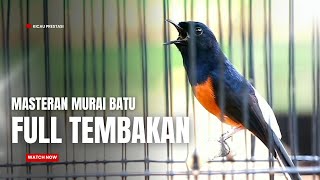Download lagu MURAI BATU GACOR FULL ISIAN TEMBAKAN MEWAH AMPUH MELATIH MURAI BATU BONGKAR ISIAN mp3 Download lagu MURAI BATU GACOR FULL ISIAN TEMBAKAN MEWAH AMPUH MELATIH MURAI BATU BONGKAR ISIAN mp3