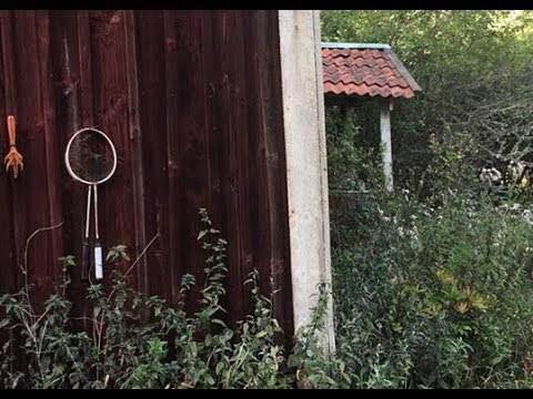 Övergivet skogstorp, varför kom man inte tillbaka?