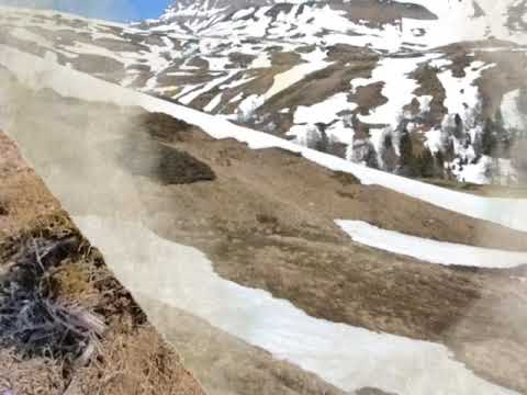 THE PARTING GLASS - SHAUN DAVEY