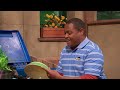 Sesame Street The Recycling Fairy Street Story