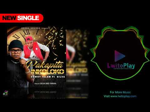 D Bwoy ft Silva -  Pakapita Inkoloko official audio