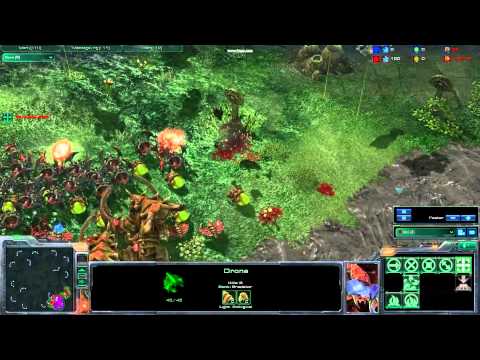 starcraft 2 auto macro 4 tank kill all zerg.mp4