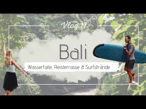 Weltreise Vlog 17 - Bali (Gitgit Waterfall, Jatiluwih Reisterrassen, Uluwatu & Ubud)