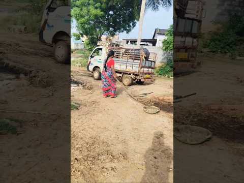 గొడ్డు వచ్చిన వేళ #ytshorts #automobile #food #telugu #lifeisbutadream #farming