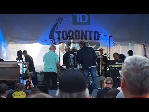 The Legendary Downchild Blues Band