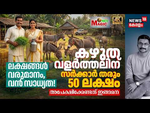 ലക്ഷങ്ങൾ വരുമാനം, വൻ സാധ്യത! Donkey വളർത്തലിന് കേന്ദ്ര സർക്കാർ തരും 50 ലക്ഷം രൂപ Money Magic 4K|N18V