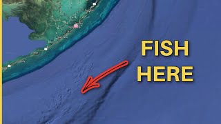 Where the fish are in the FL Keys RIGHT NOW!