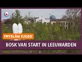 Bosk in Leeuwarden van start bij stationsplein