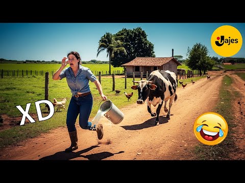 SI TE RÍES PIERDES NIVEL DIOS #82 🤣[999.99 IMPOSIBLE NO REÍRSE ]😎 VIDEOS DE RISA MUY GRACIOSOS 2025🤣