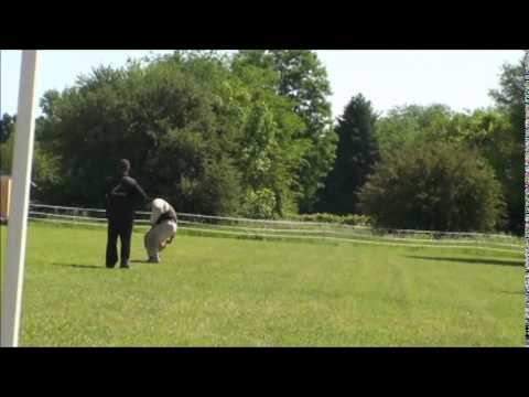 Zica June 14,2014 Protection