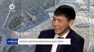 Балық шаруашылығының қыр-сыры