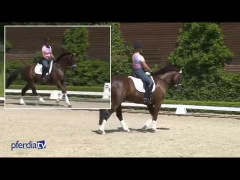 Fliegende Wechsel  - Aussehen, Hilfengebung und Lösungsvorschläge | Britta Schöffman