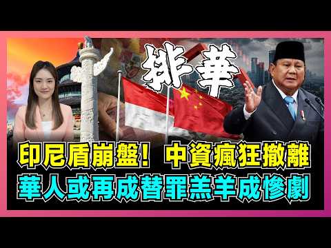 印尼盾崩盤！中資瘋狂撤離，華人或再成替罪羔羊變慘劇？｜印尼鎳礦變廢鐵，普拉博沃的經濟昏招，98年排華慘劇會重演嗎？【屈姬主播 EP395】