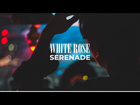 White Rose - Serenade (Official Music Video)