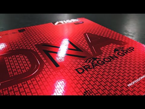 [TT] Stiga DNA Dragon Grip - Wir lassen den Drachen steigen...